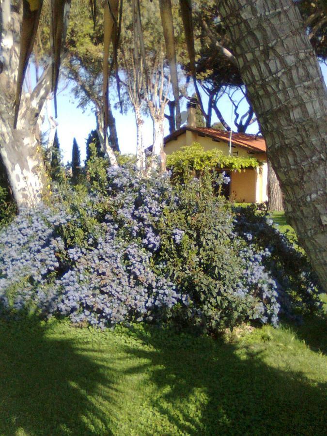 Casa Vacanze Vigna Di Valle Bracciano  Eksteriør billede