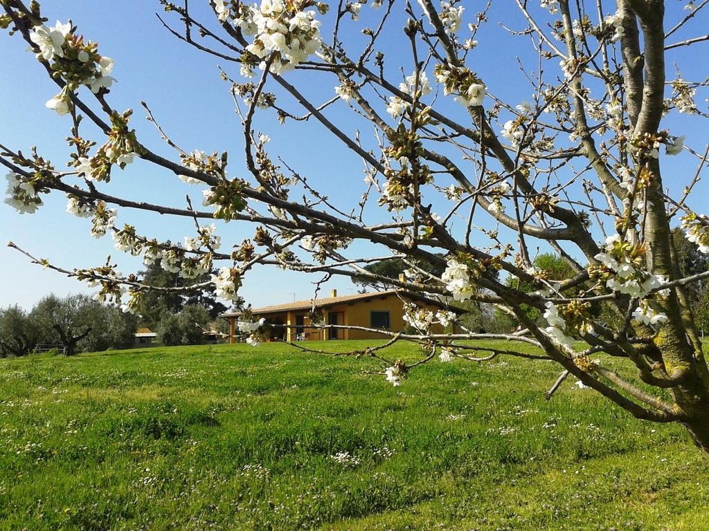 Casa Vacanze Vigna Di Valle Bracciano  Eksteriør billede