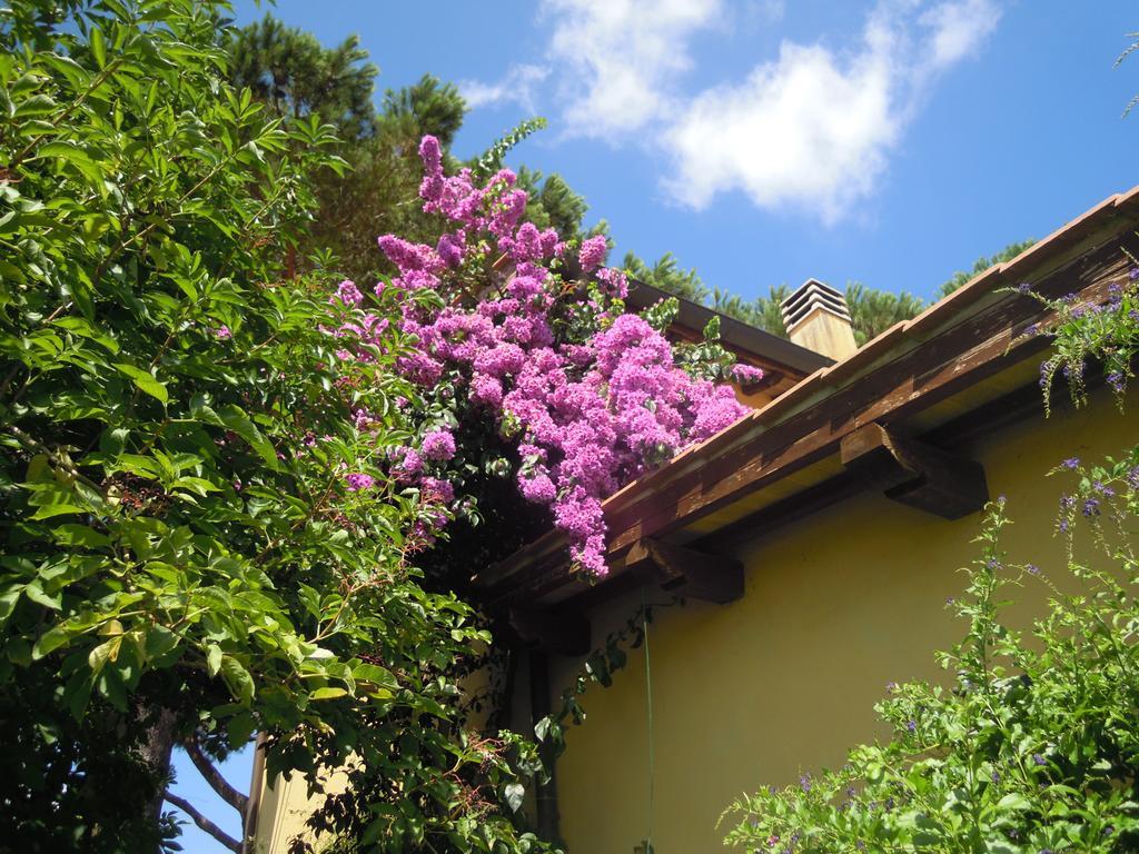 Casa Vacanze Vigna Di Valle Bracciano  Værelse billede