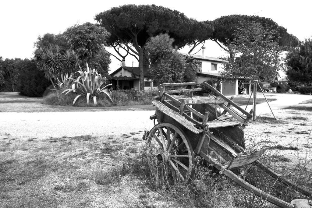 Casa Vacanze Vigna Di Valle Bracciano  Eksteriør billede